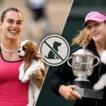 Wimbledon Keeps No-Dogs Rule Despite Growing Trend